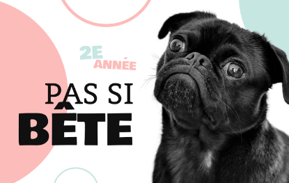 RÉCIT - Pas si bête que ça